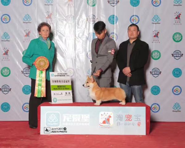 微信图片_20170421124301.jpg