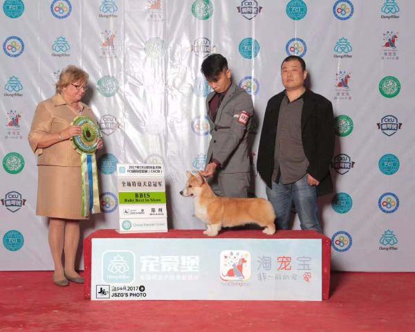 微信图片_20170421124257.jpg