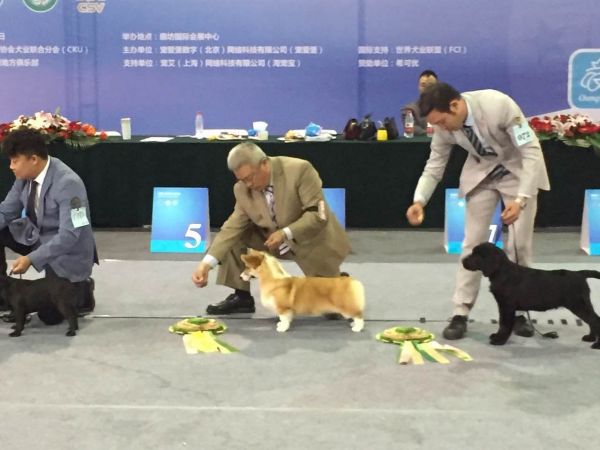 微信图片_20170421124230.jpg