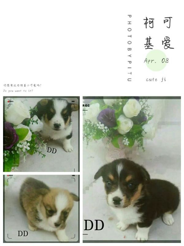 QQ图片20170408203803.jpg