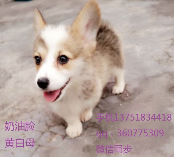 QQ图片20170417200814.jpg