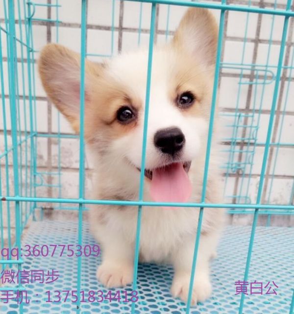 QQ图片20170417200830.jpg