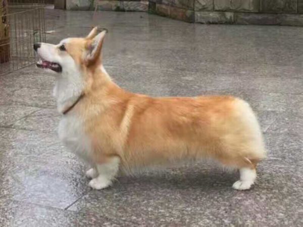 image.jpg