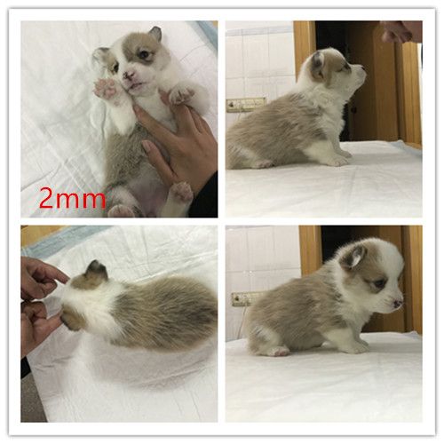 2mm.jpg