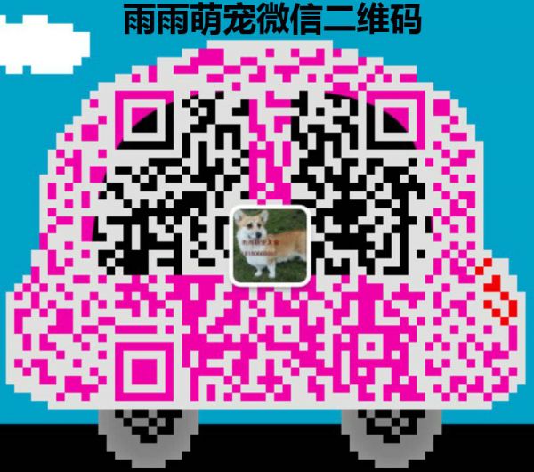 雨雨萌宠二维码.jpg