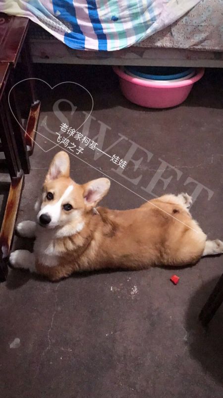 微信图片_20170516065635.jpg