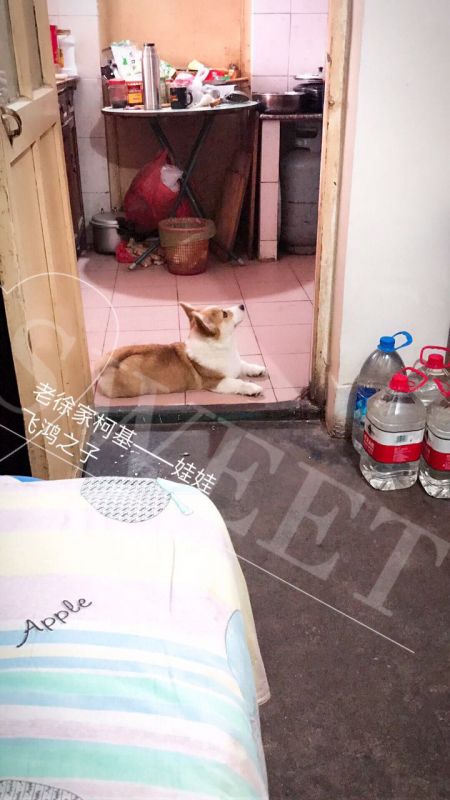 微信图片_20170516065638.jpg