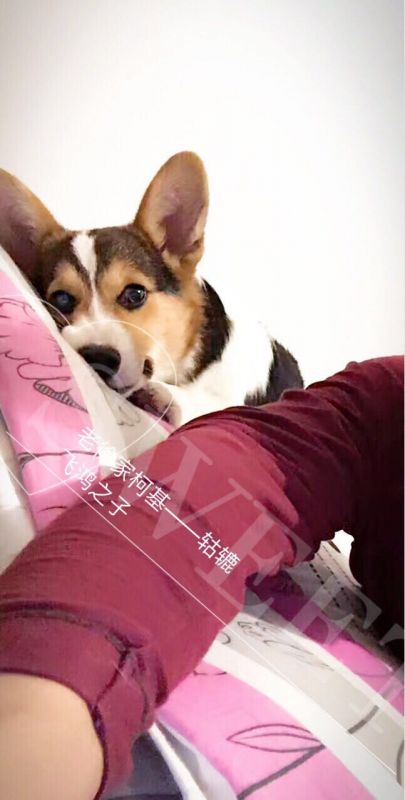 微信图片_20170516065642.jpg