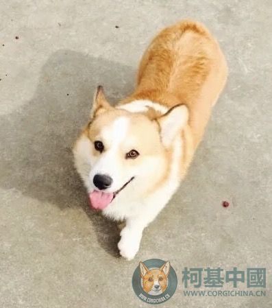 2016-12-07 132003.jpg