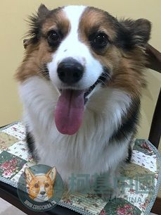 2017-01-28 174251.jpg