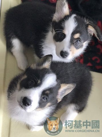 2017-04-04 093920(1) (1).jpg