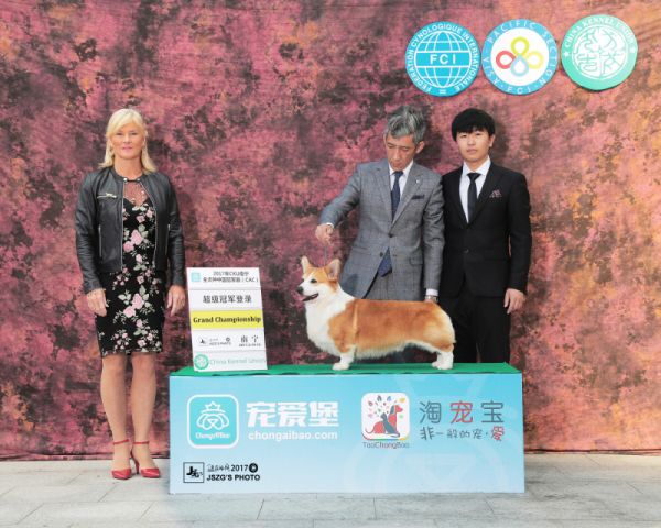 蛋皇.jpg