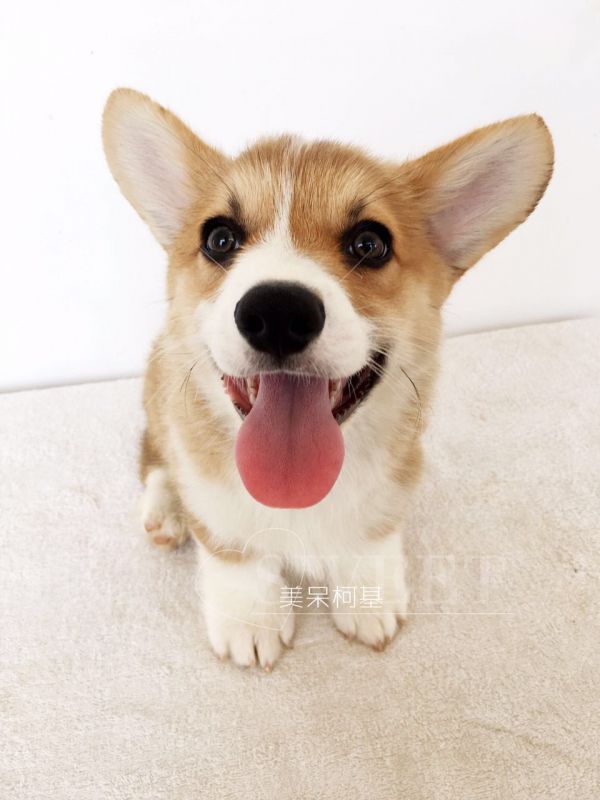 908739407894915781.jpg