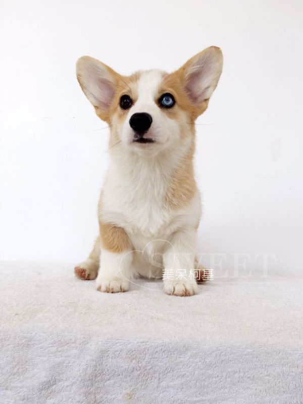 705823240860045233.jpg