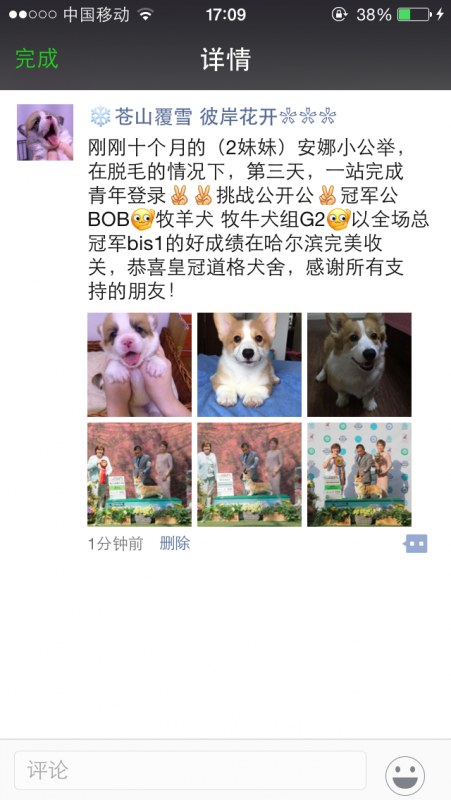 QQ图片20170519173215.png