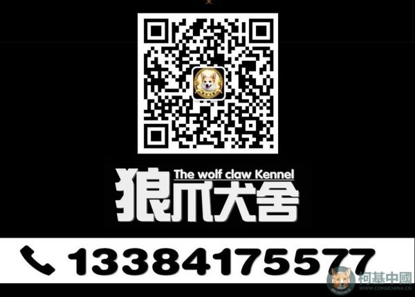 202319qzyud3ndt0sm8q3m.jpg