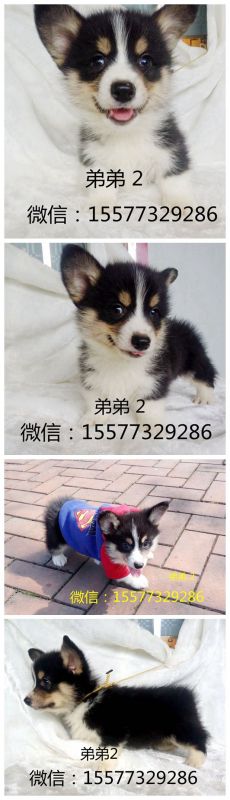 弟弟2_副本.jpg