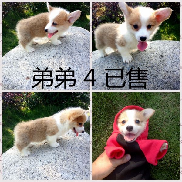 弟弟4.jpg