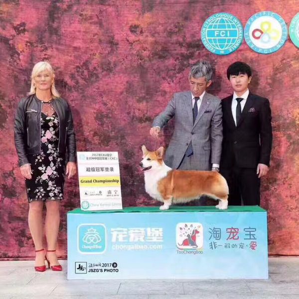 微信图片_20170520112724.jpg