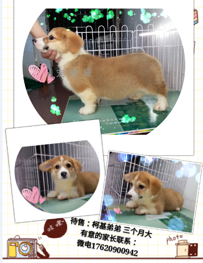 6WN4A[`4LUO`J37E8NQ3([T.png