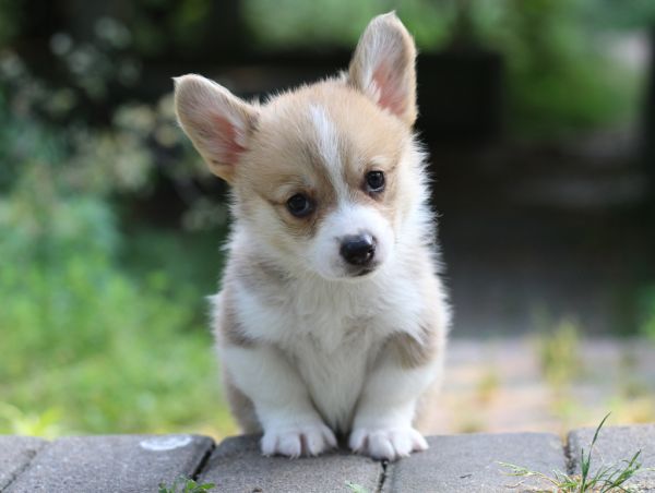 IMG_7011.JPG