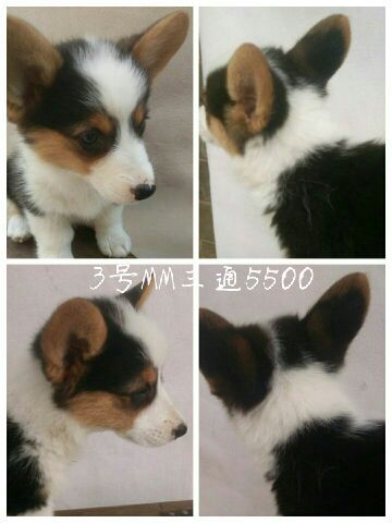 QQ图片20170514160257.jpg