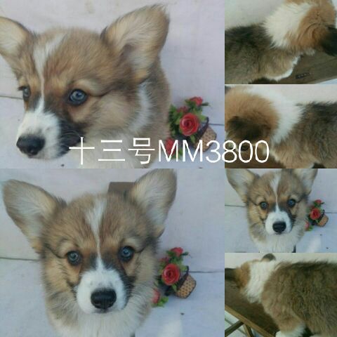 QQ图片20170514160956.jpg