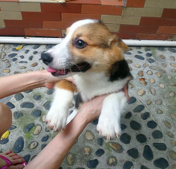 IMG_20170508_131159_副本.jpg