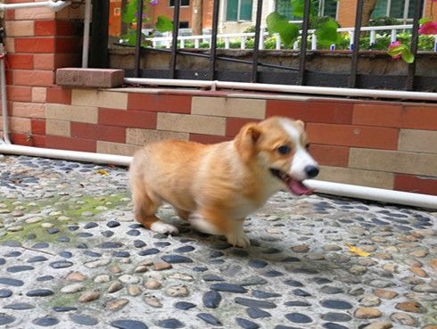 IMG_20170508_122356_BURST006_副本.jpg