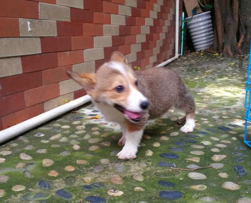 IMG_20170508_122623_副本.jpg