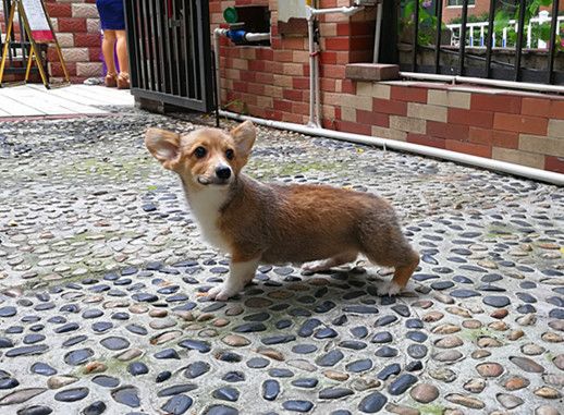 IMG_20170508_125214_副本.jpg