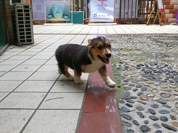 IMG_20170508_125812_副本.jpg