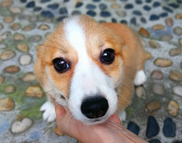IMG_20170508_121943_副本.jpg