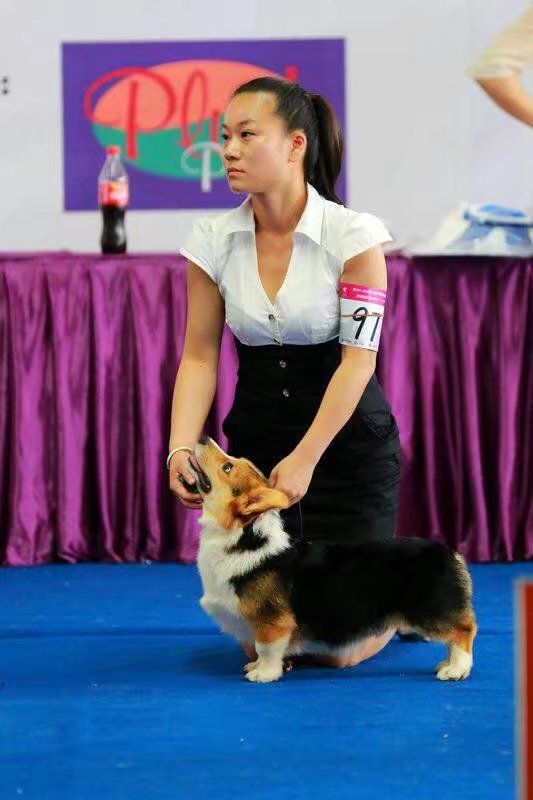爸爸
