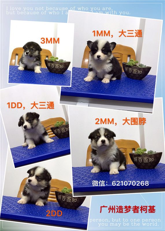 集体照