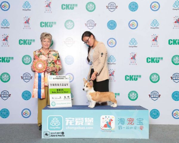 QQ图片20170524091409.jpg