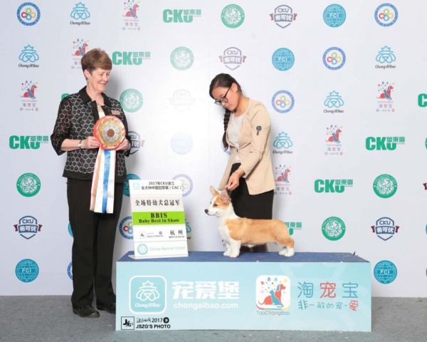 QQ图片20170524091422.jpg
