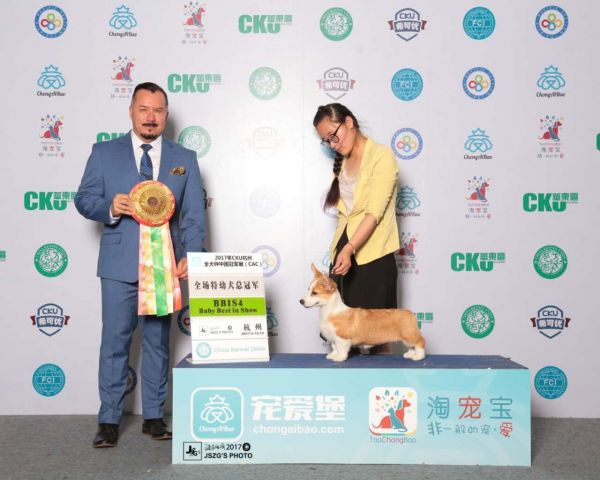 QQ图片20170524091429.jpg