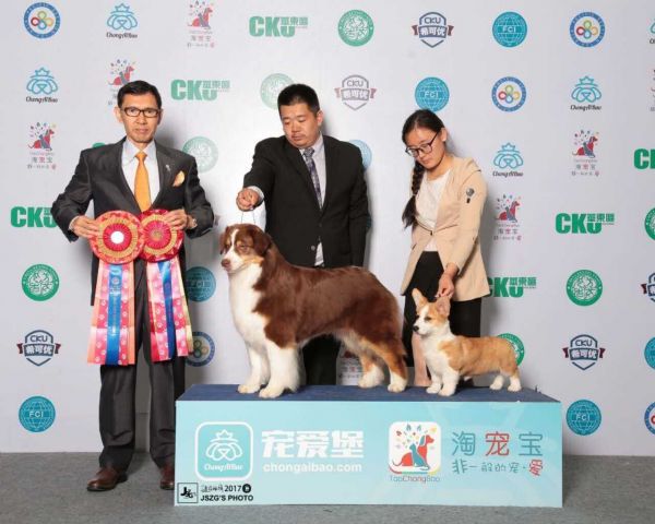QQ图片20170524091436.jpg
