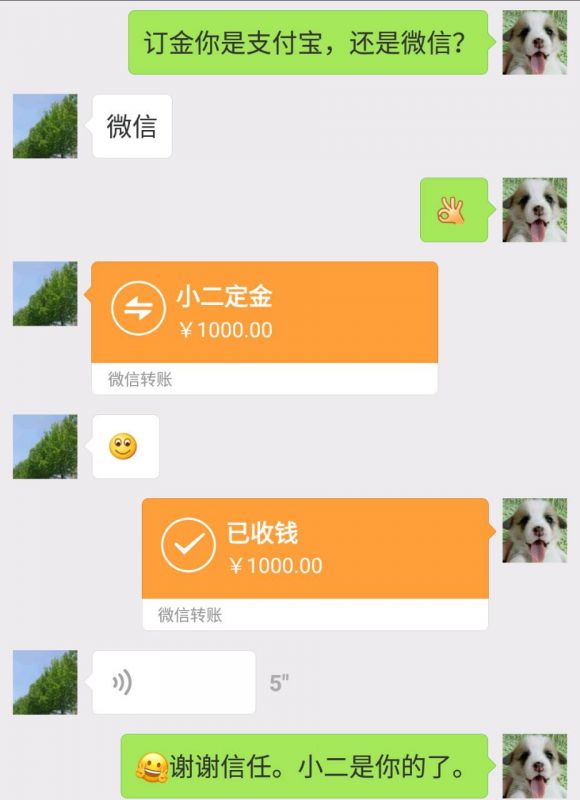 mmexport1495696332643.jpg