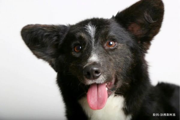 173222rizrfnzfrfrlvfrc.jpg.thumb.jpg