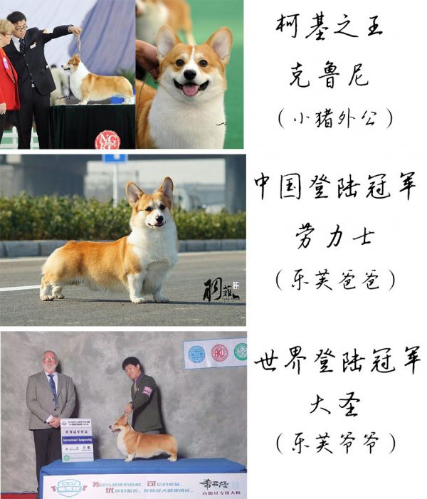 小猪的外公以及乐芙的父亲和爷爷