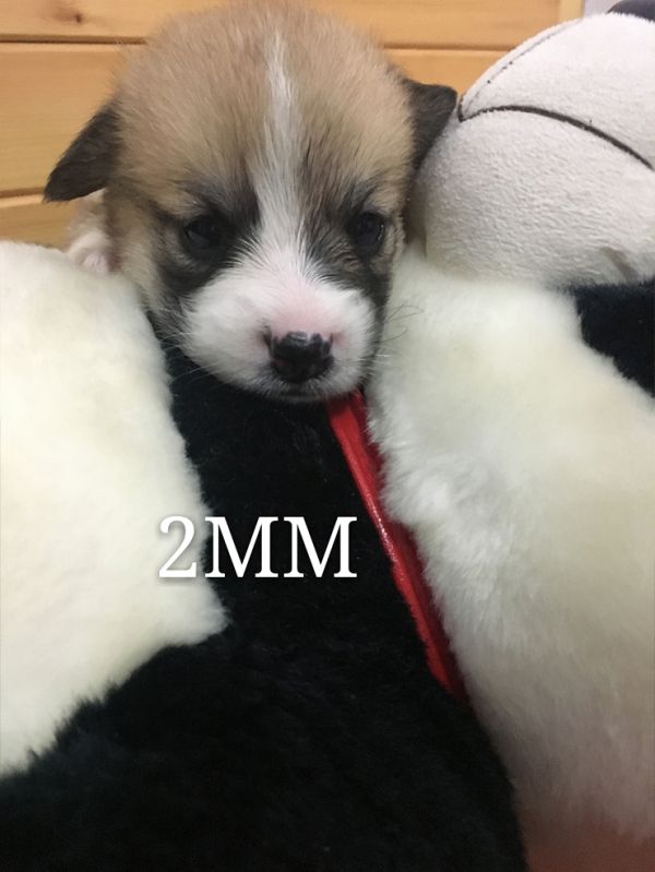 2m.jpg