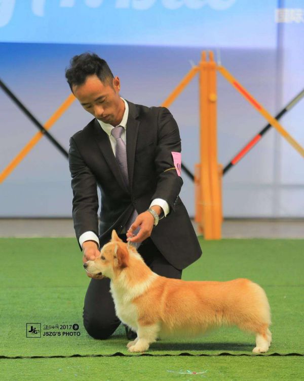 微信图片_20170515002055.jpg