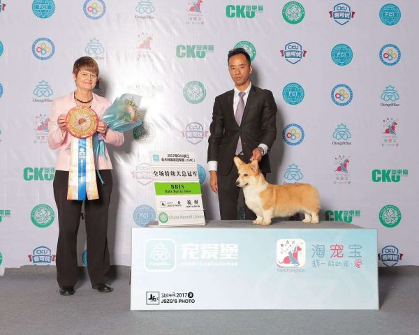 微信图片_20170515002045.jpg