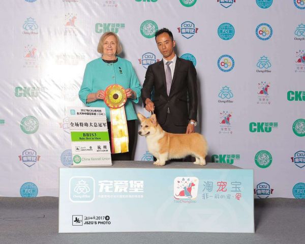 微信图片_20170515002036.jpg