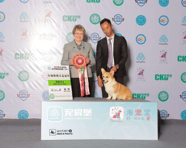 微信图片_20170515002032.jpg