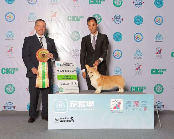微信图片_20170515002029.jpg