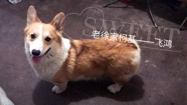微信图片_20170516065543.jpg