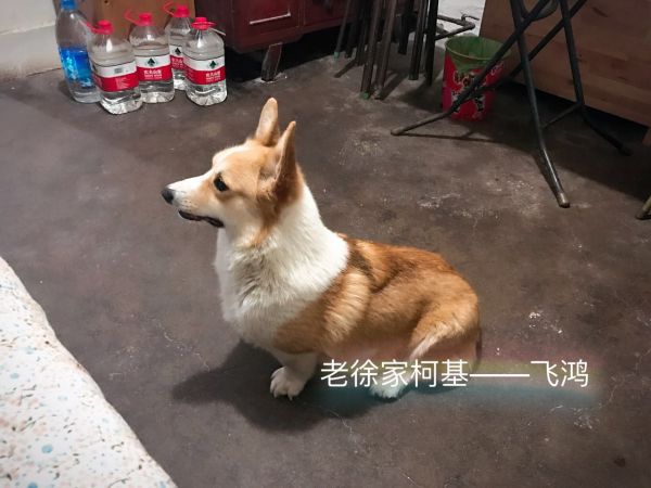 微信图片_20170516065622.jpg